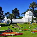 Golden Gate Park walk