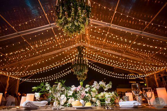 The Wedding Website of Natalie Suzanne Mourant and Shawn Wayne Hodges