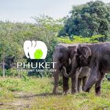Phuket Elephant Sanctuary
