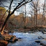 Eno River State Park