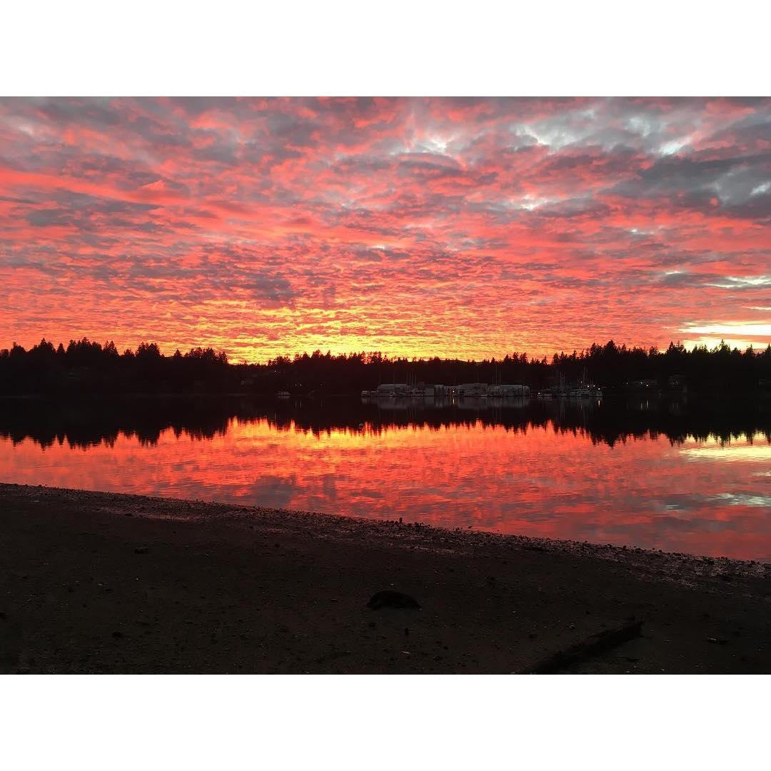 Sunsets for days