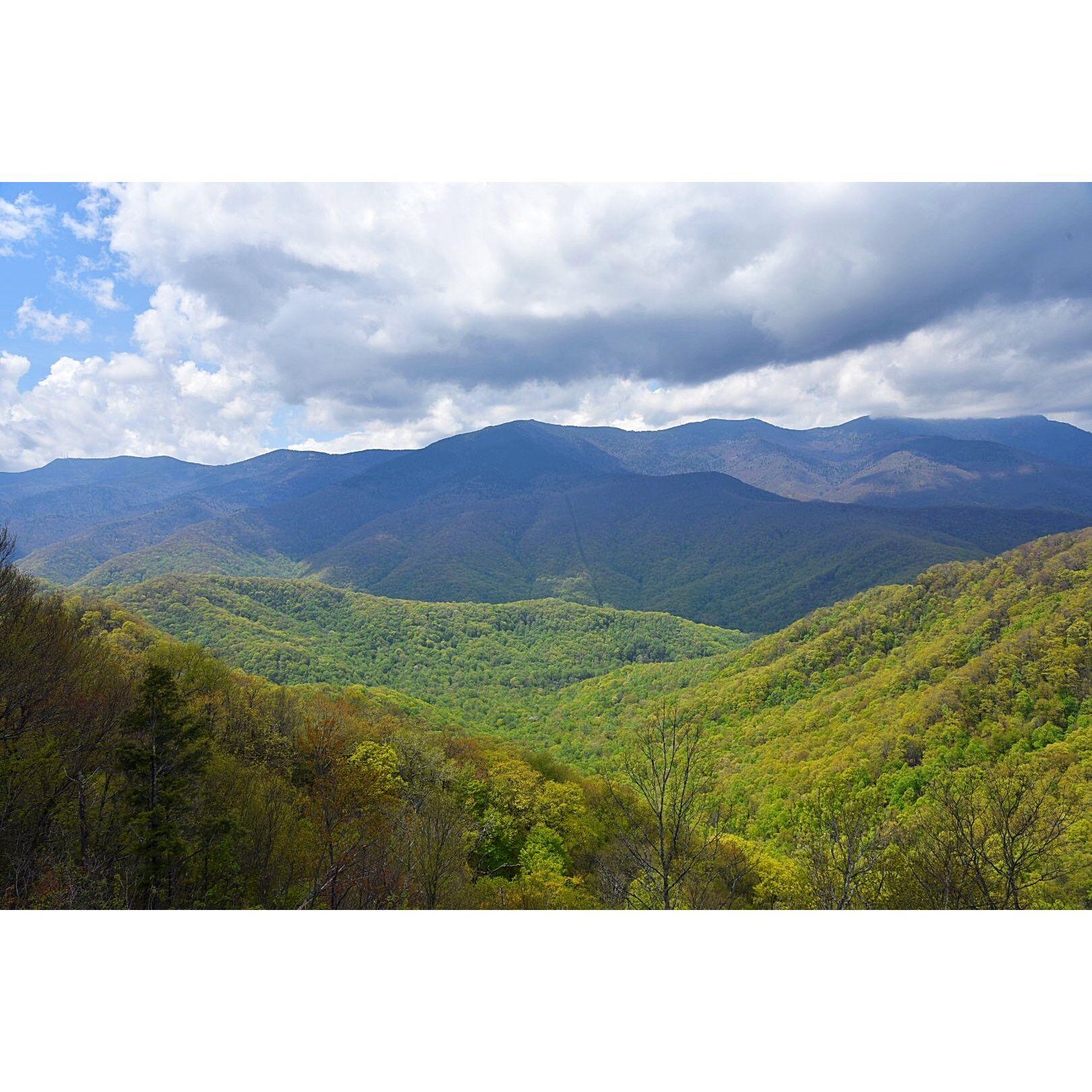 Blue Ridge Parkway, NC