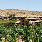 Scottsdale Wine Trail