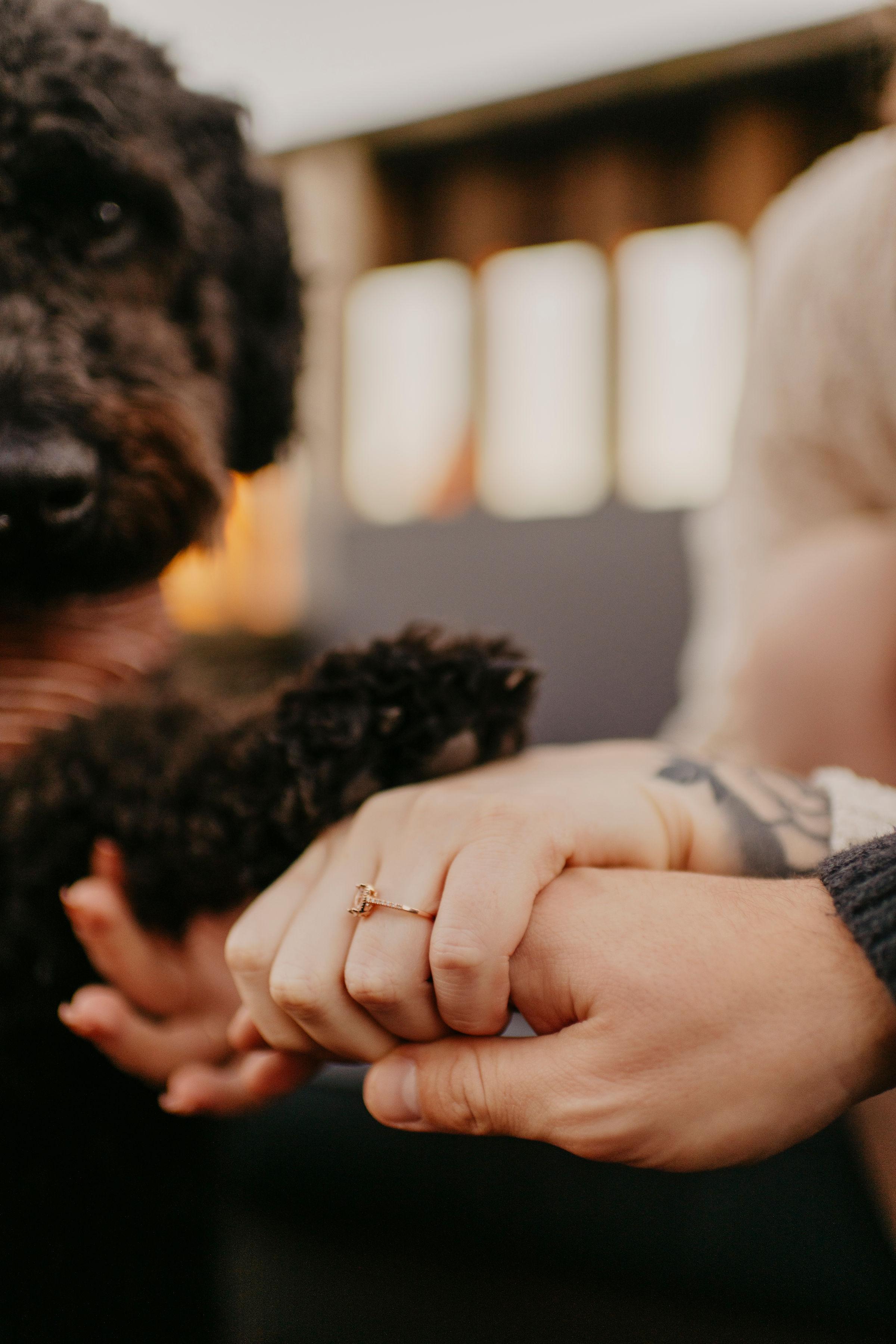 The Wedding Website of Alyssa Pinkston and Samuel Ficke