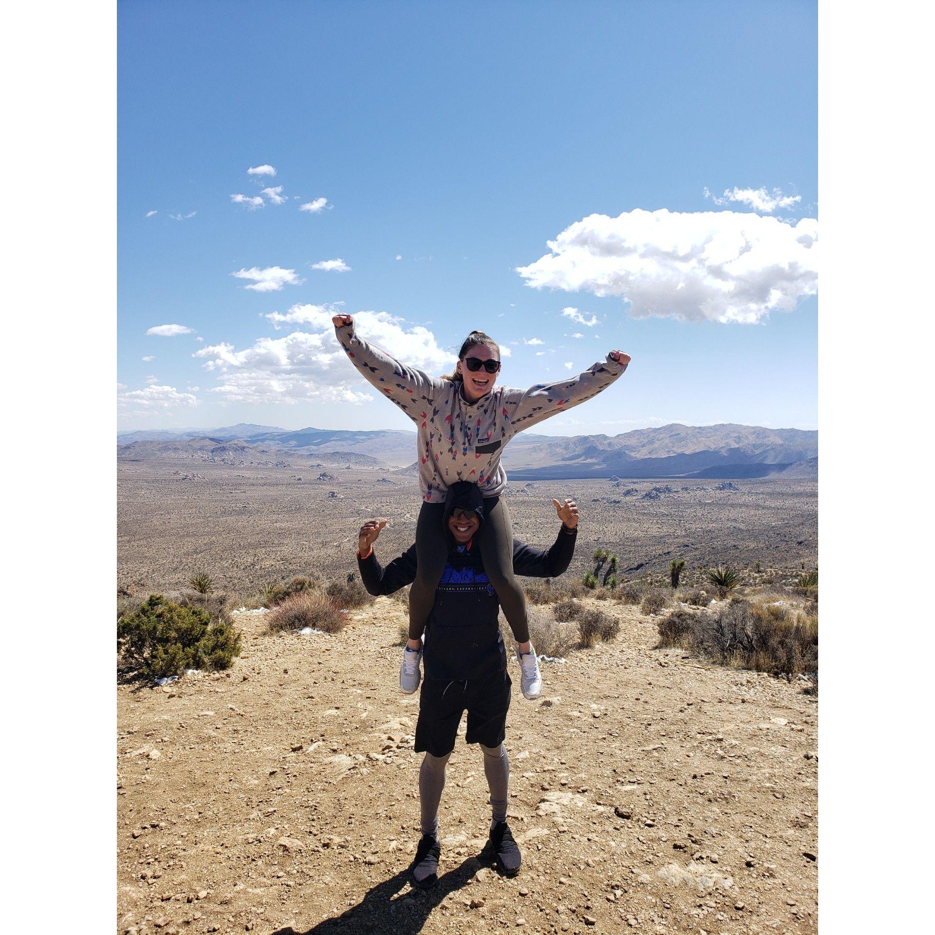 Joshua Tree CA