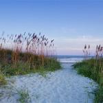 Isle of Palms Beach