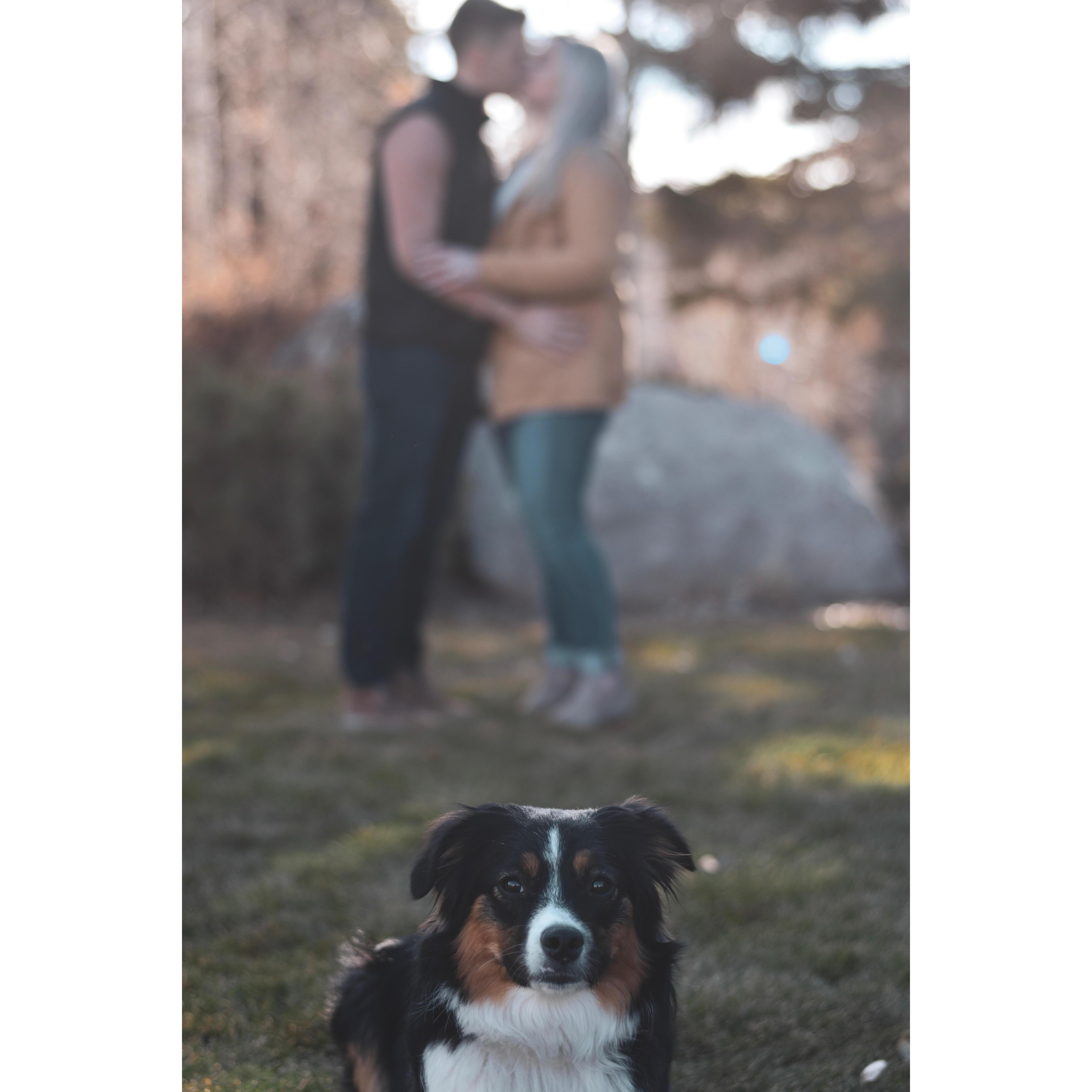 Engagement Fall 2018 Laramie, WY PC: Laurel Place