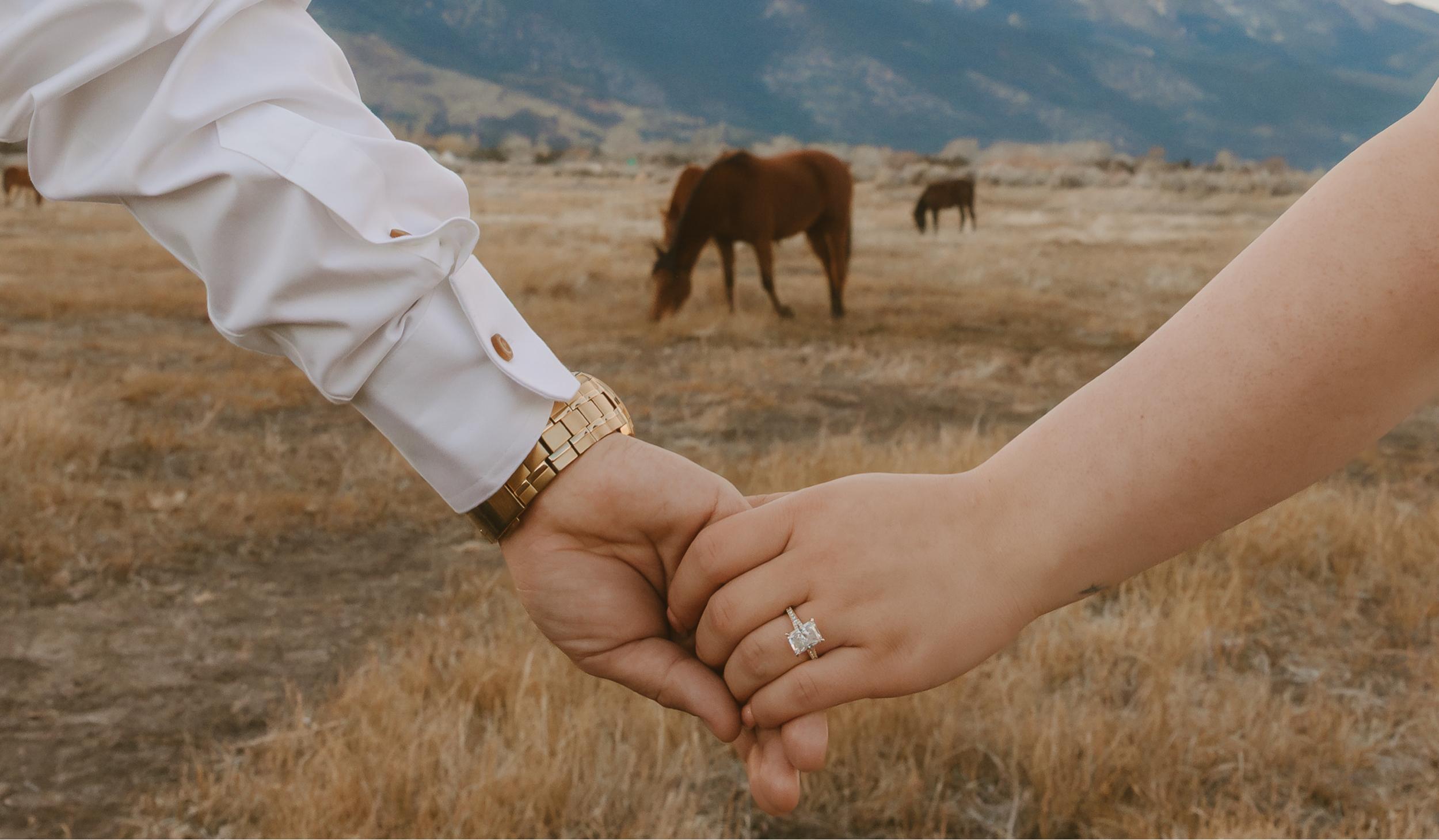 The Wedding Website of Josefina Acevedo and Manuel Jimenez