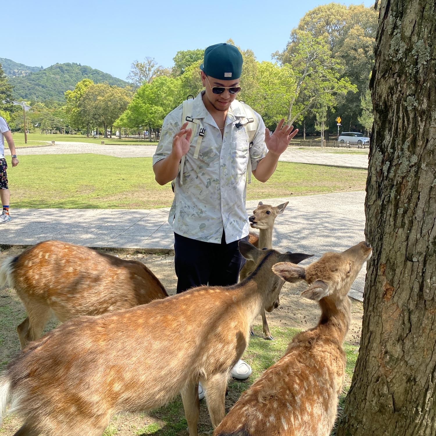 05.17.23, nara & its deers!!!