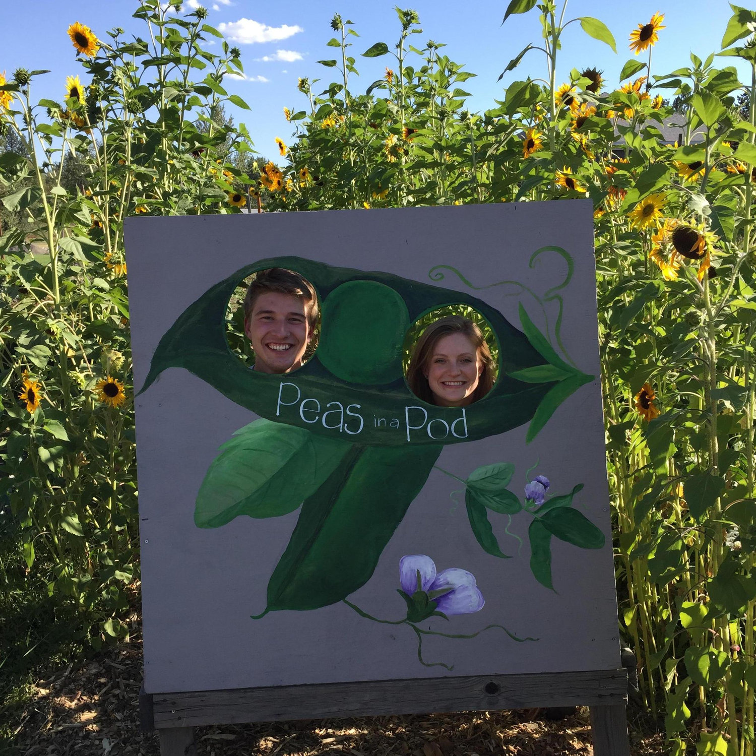 Two peas in a pod. August 2015.