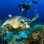 San Miguel de Cozumel