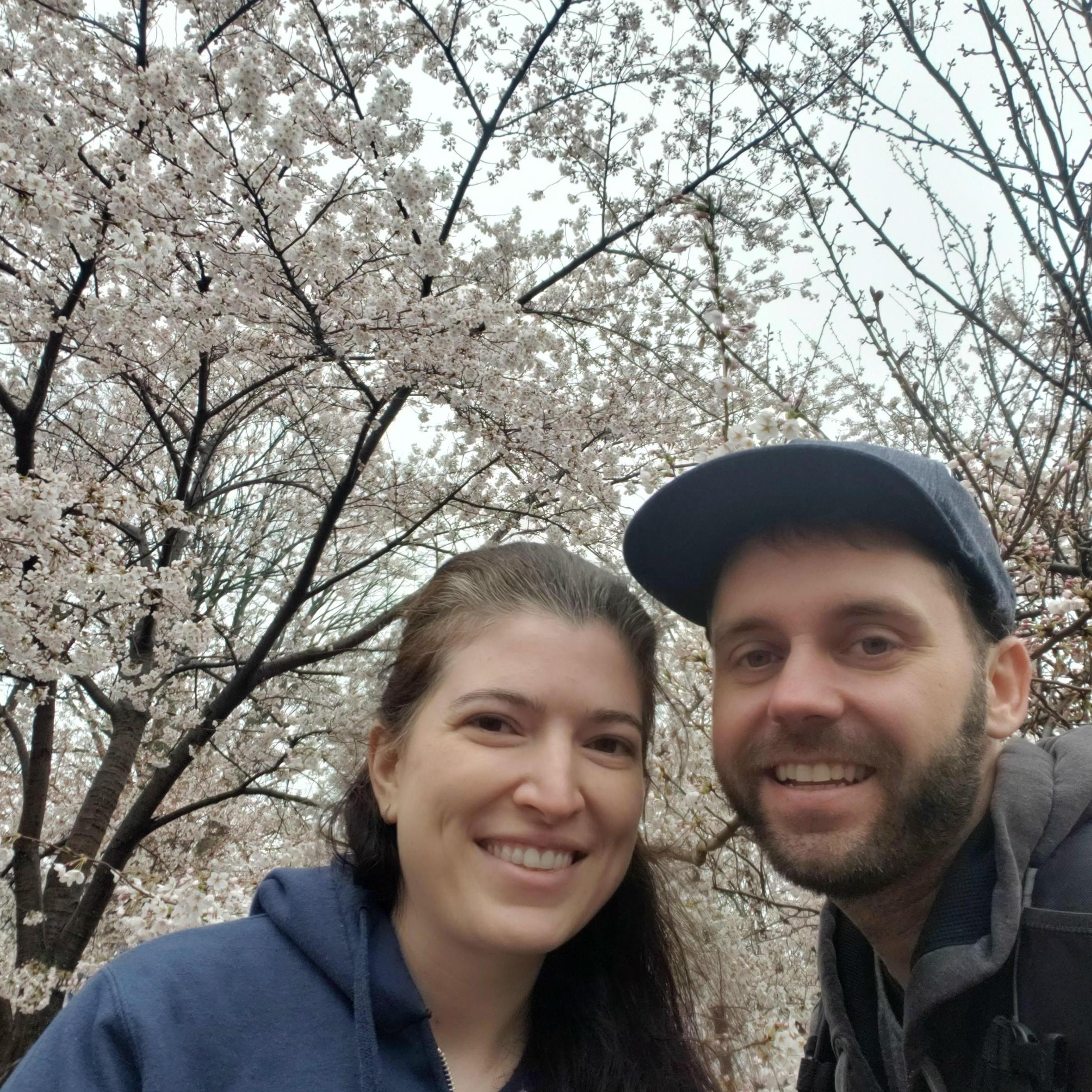 Cherry Blossoms in Newark for an early pandemic walk in a park