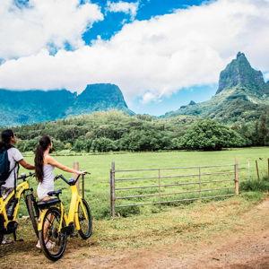 Moorea E-Bike Tour