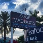 Ziggie & Mad Dog's