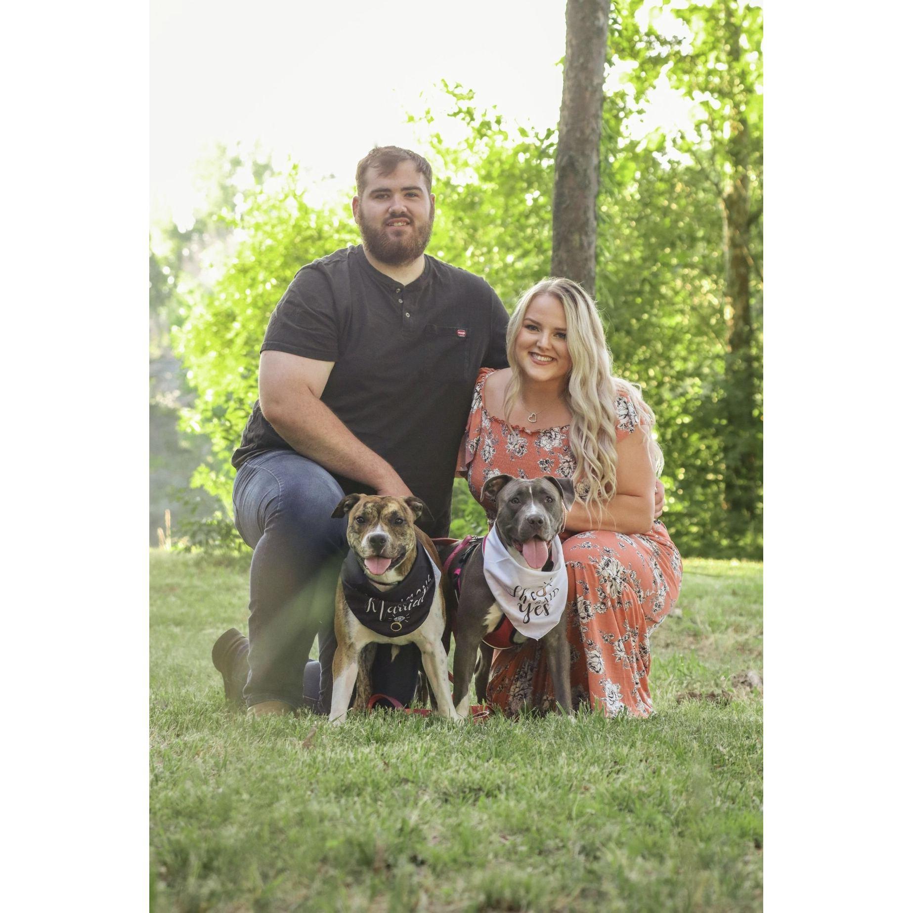 engagement photo with fur babies