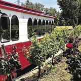 Lodi Wine Trolley
