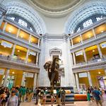 Smithsonian National Museum of Natural History
