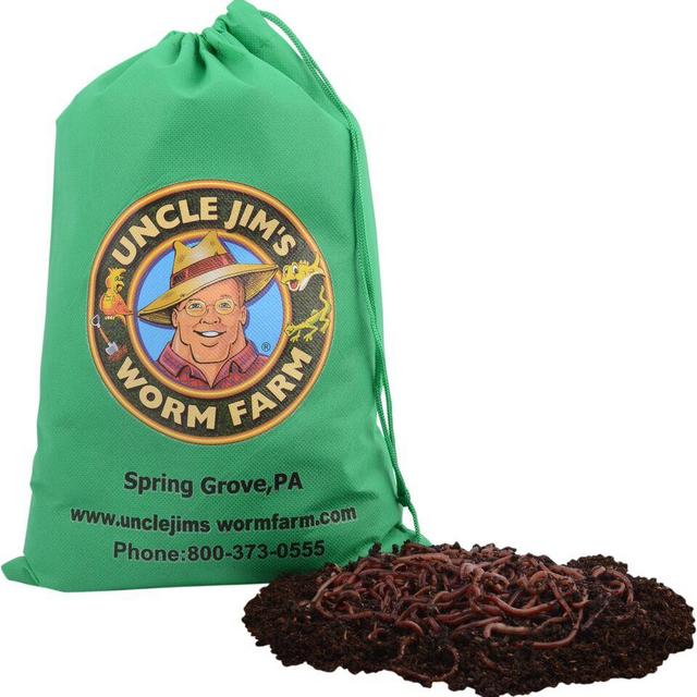 500 Red Wigglers (composting worms)