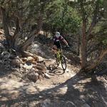 Mountain Biking - Ridgway Area Trail System