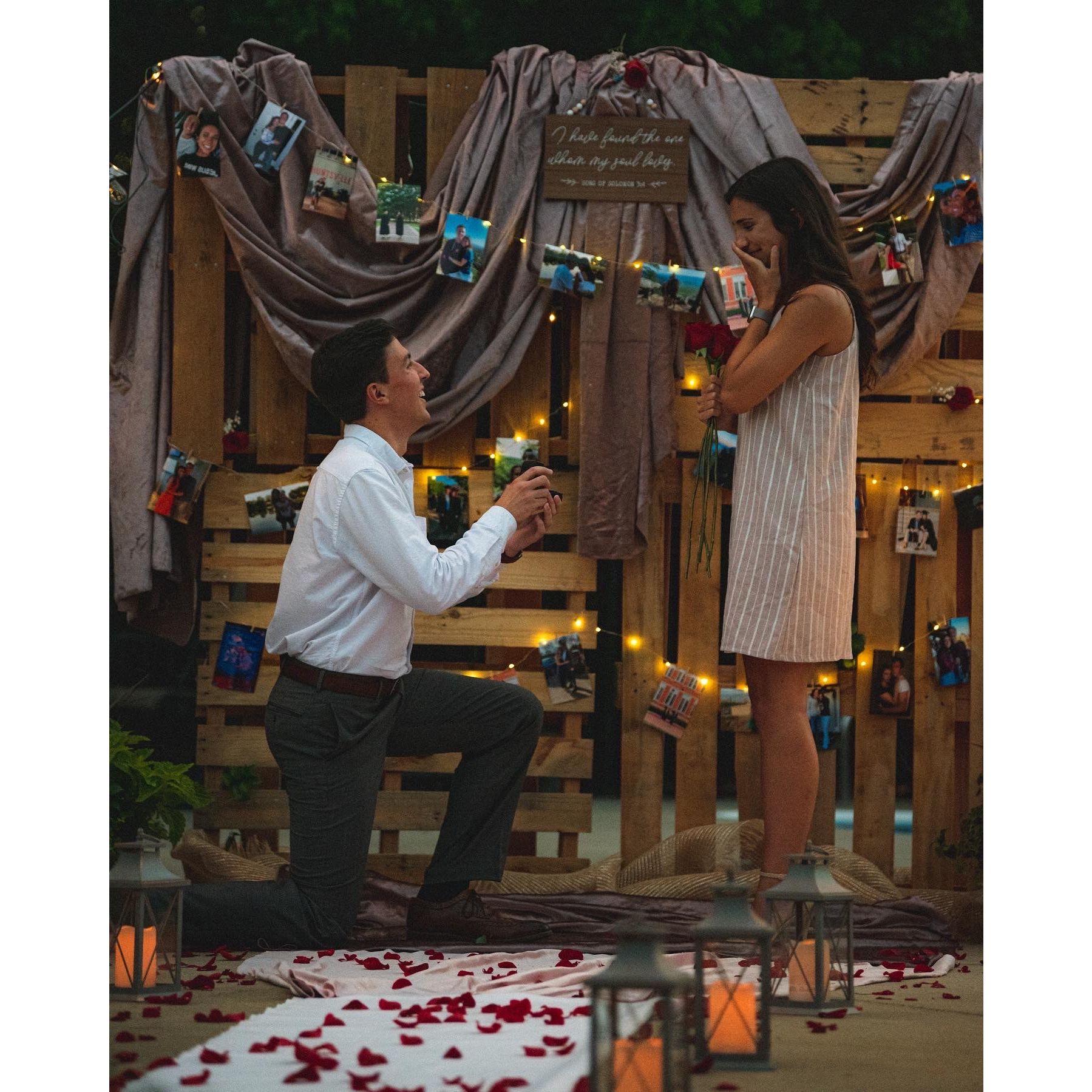 THE PROPOSAL