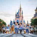 Magic Kingdom Park