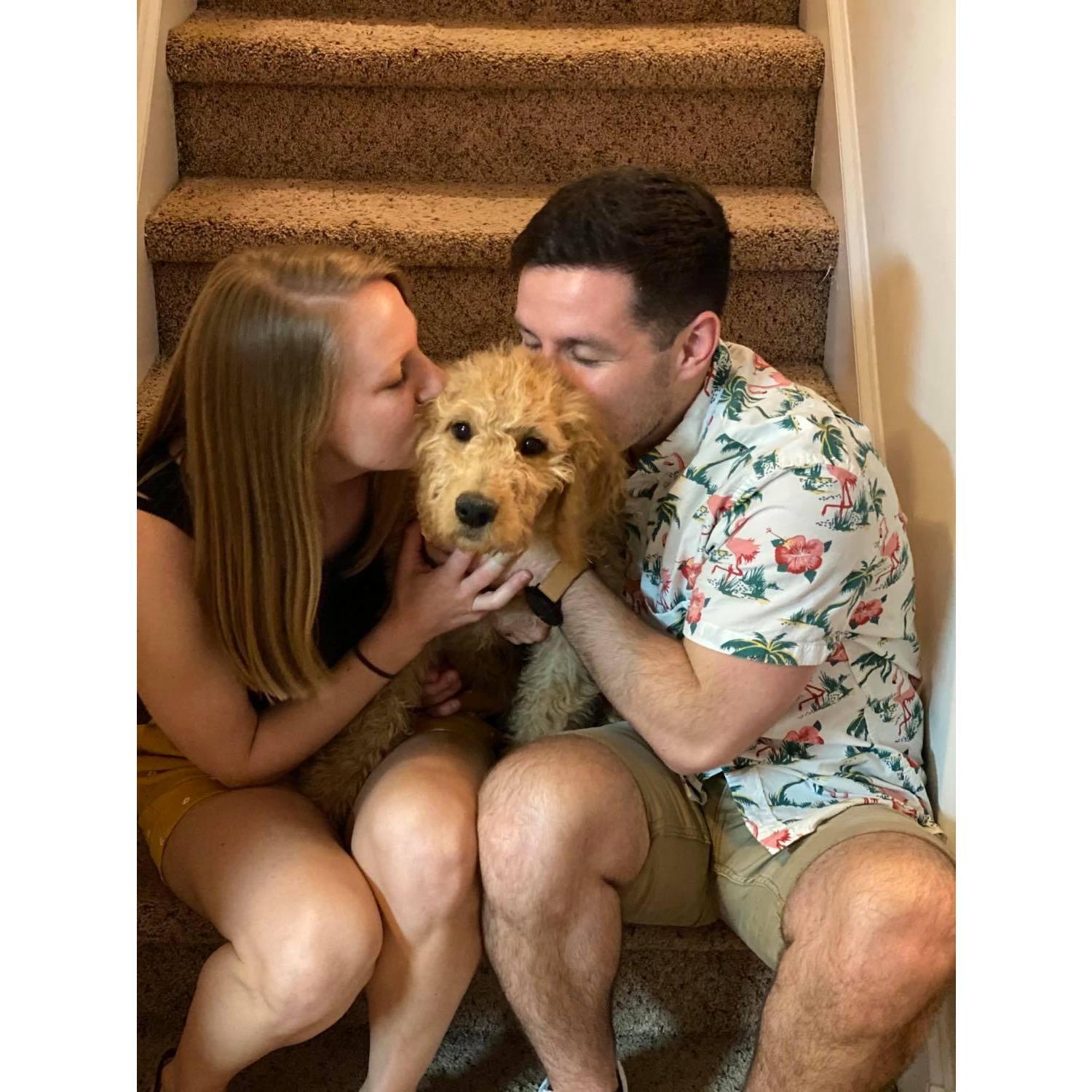 Meet our doodle, Mia!