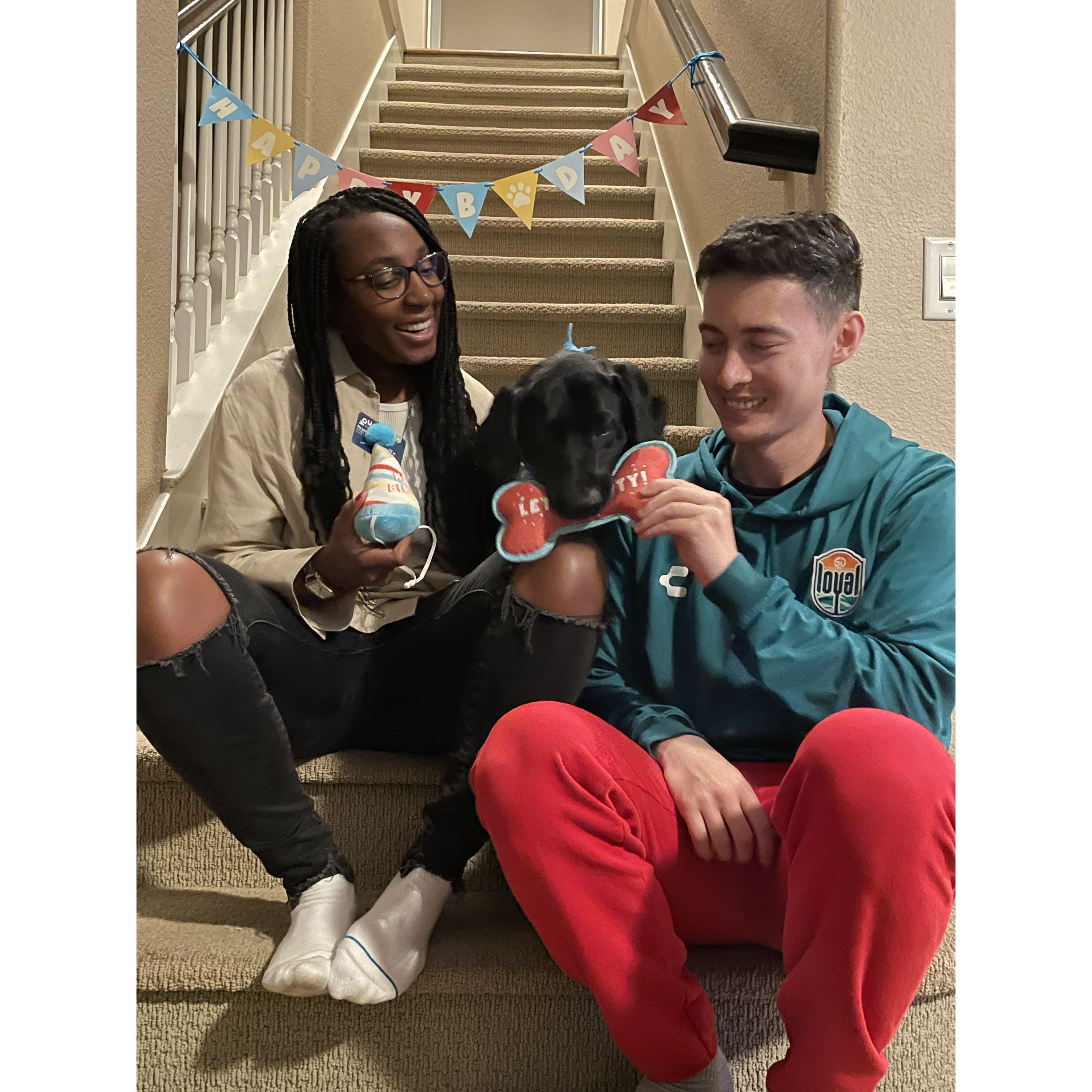 2024: Skye's 3rd Birthday Party