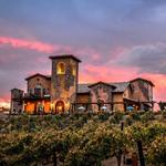 Robert Renzoni Vineyards