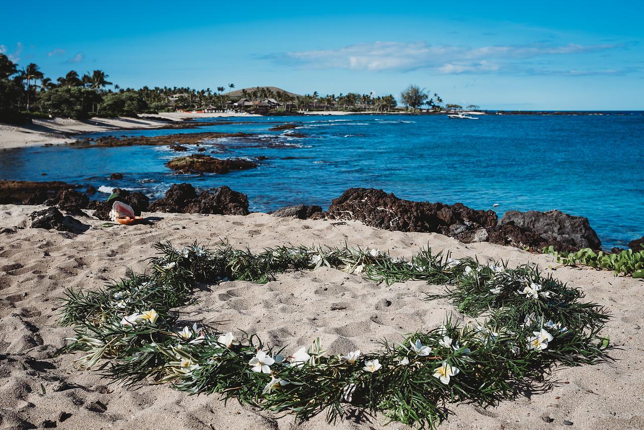 The Wedding Website of Christie Mulholland and James Amster