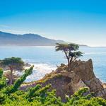 17 Mile Drive