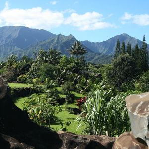 Princeville Botanical Garden Tour, Kauai