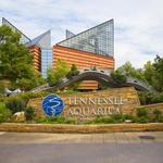 Tennessee Aquarium