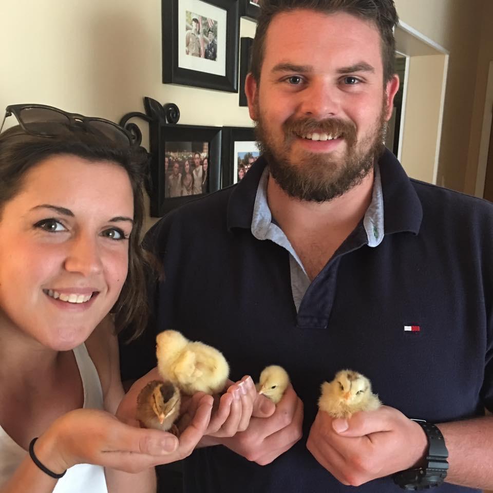 Our chickens are our pride and joy!