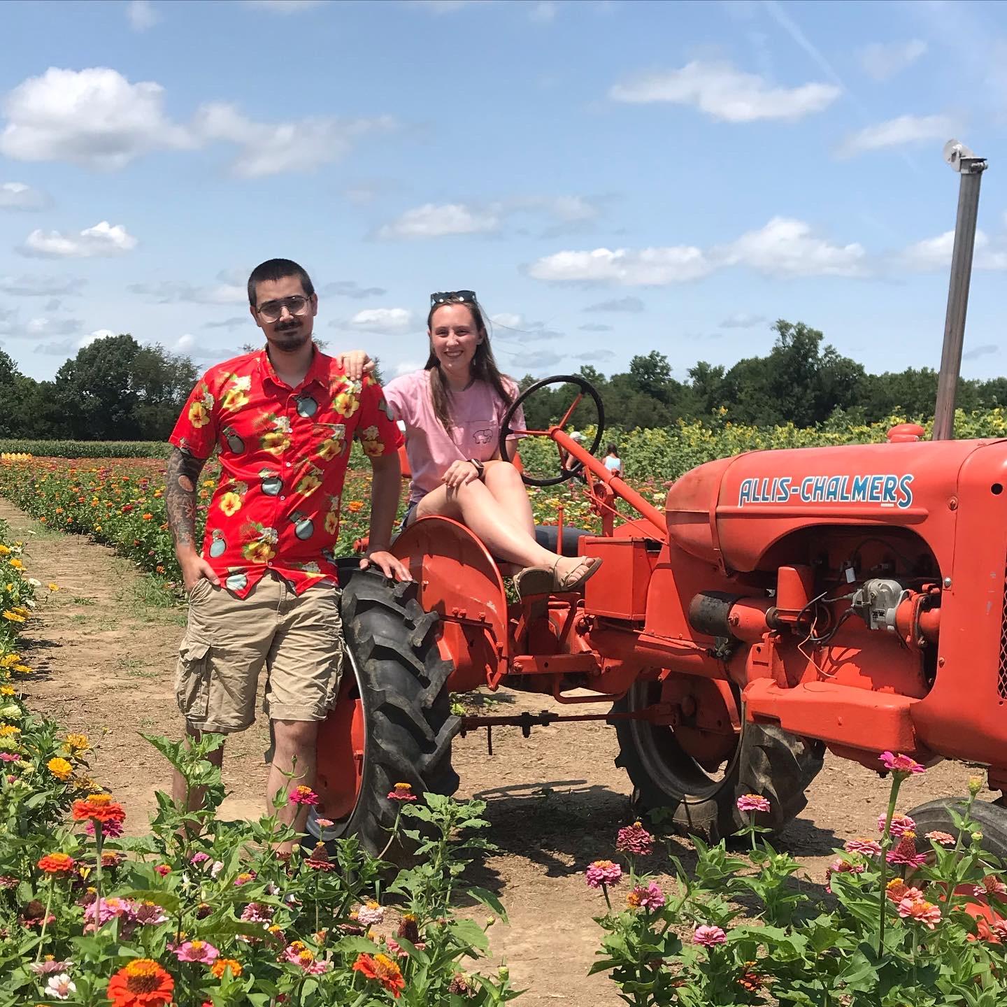 Sunflower maze. August 2022