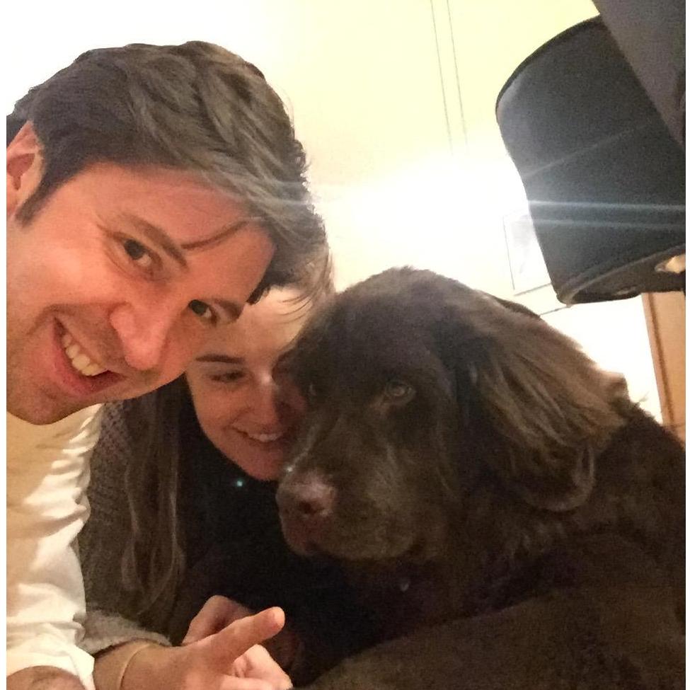 We like to dogsit