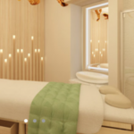 Trip to the Spa