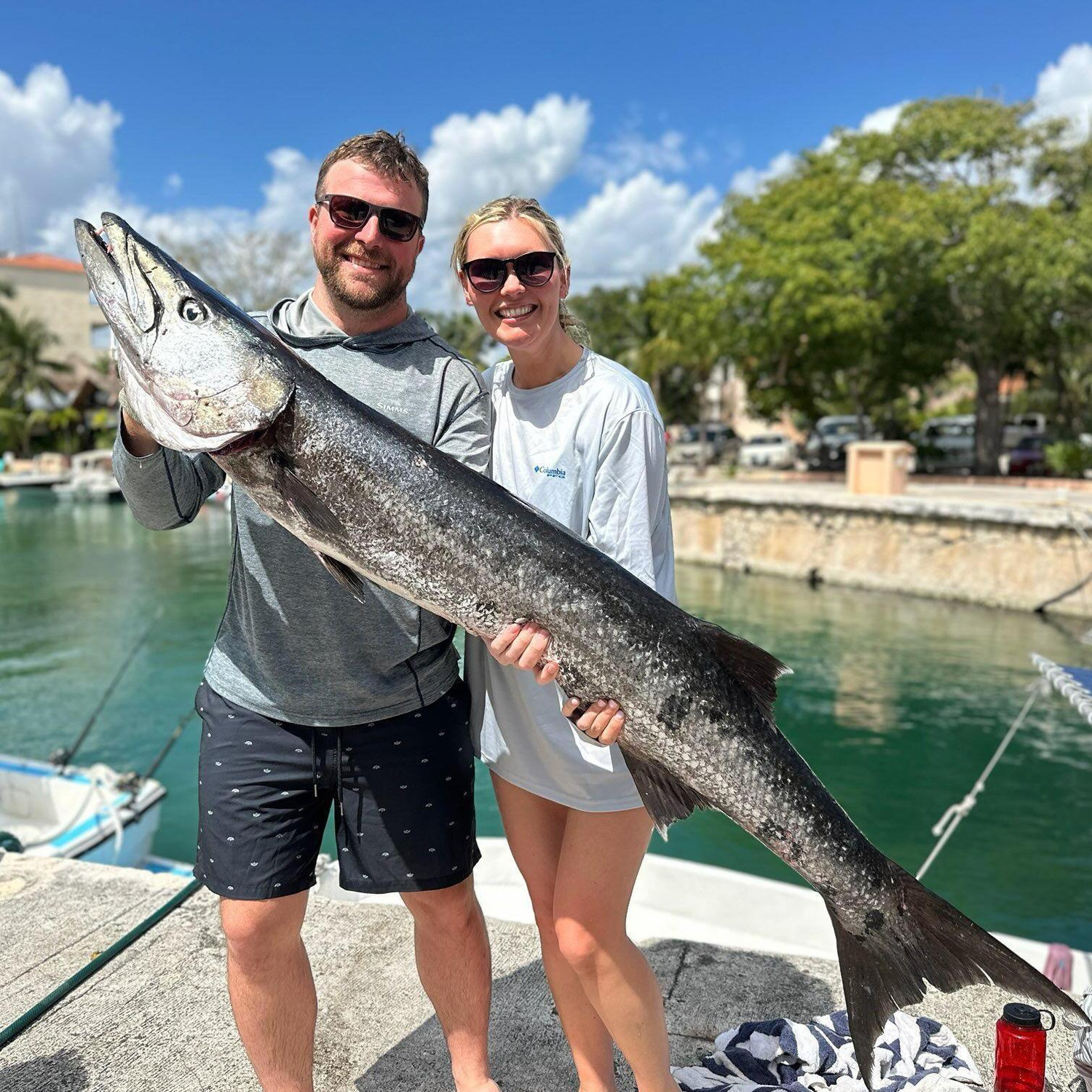 Barracuda