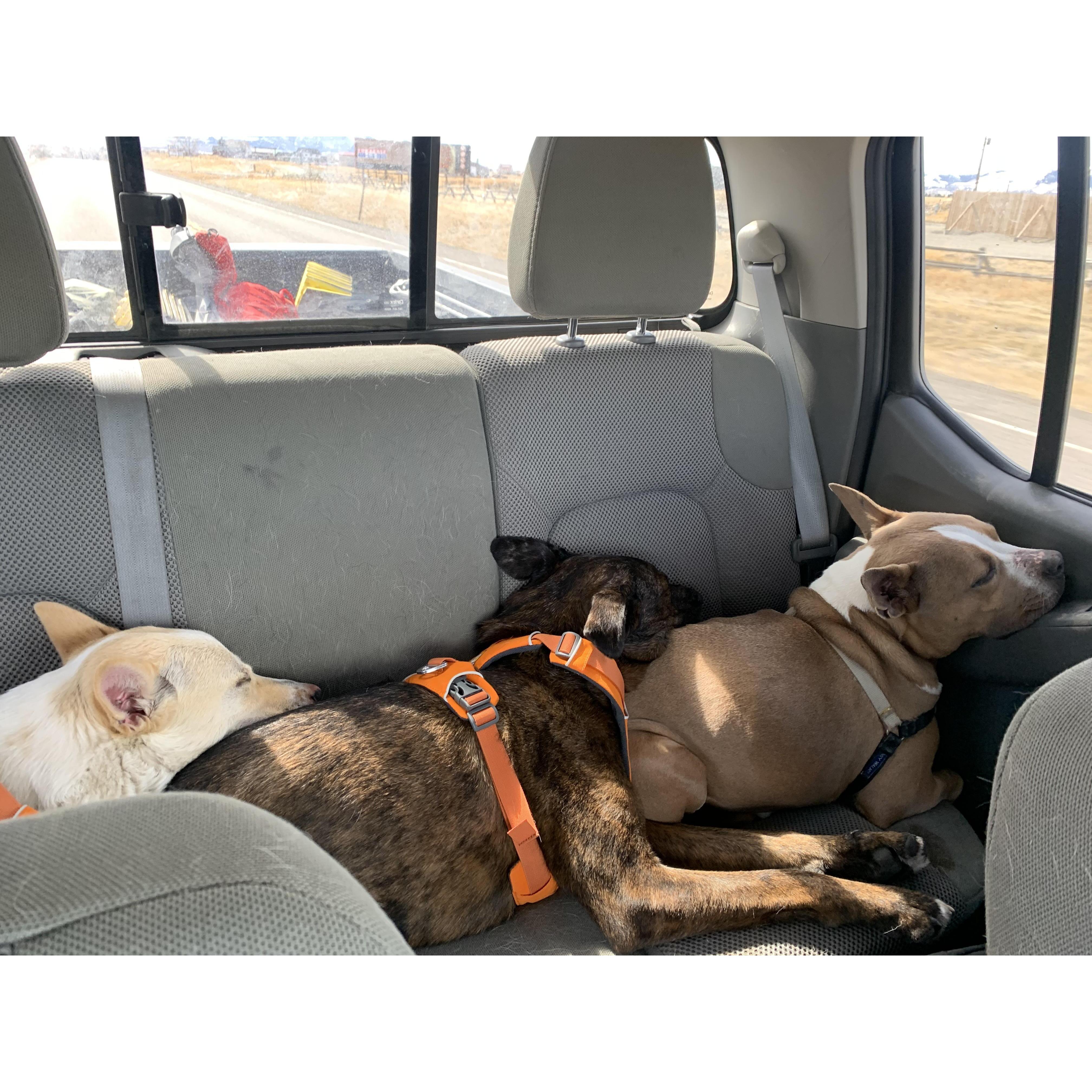 Our Sweet Sleeping Children, 2021. Montana.