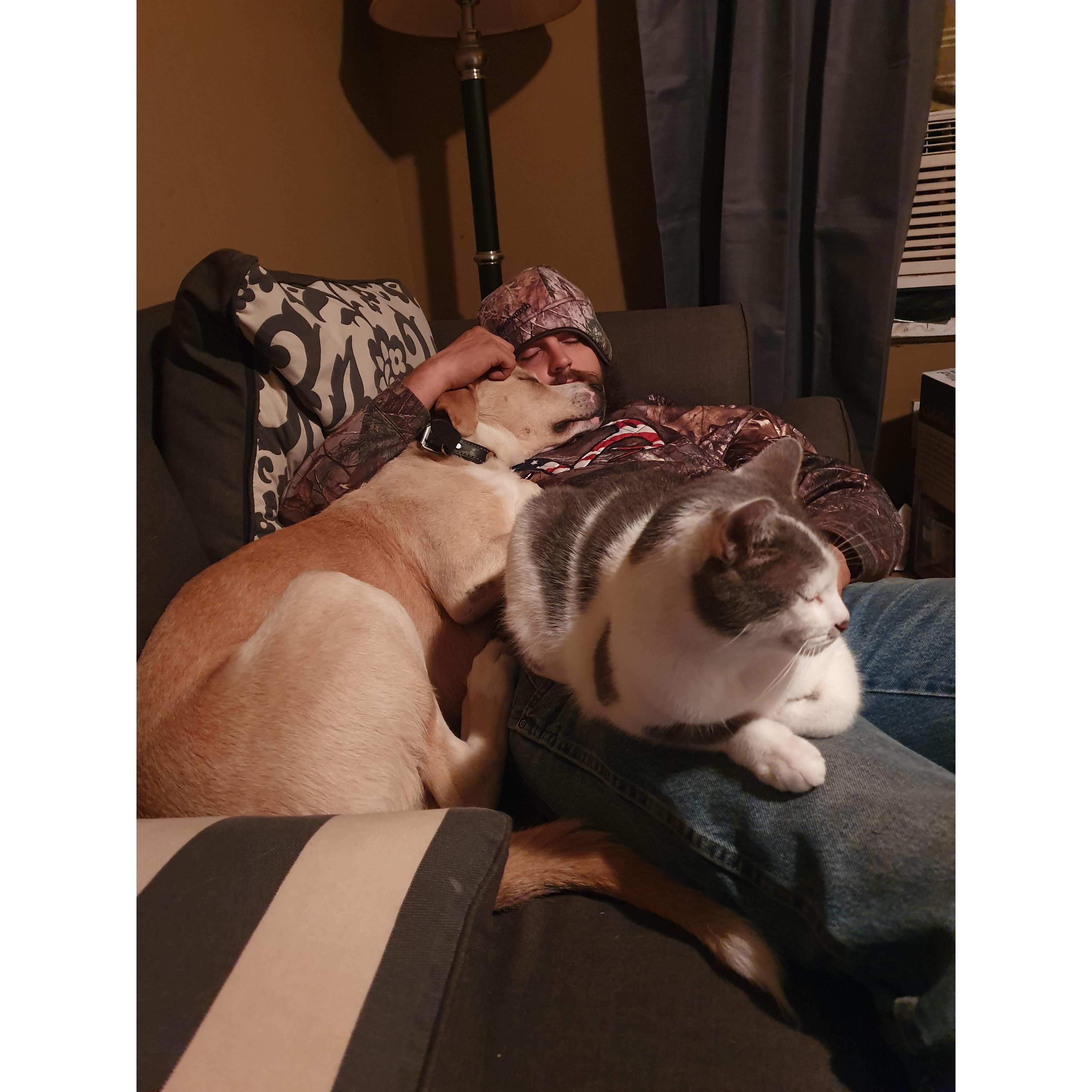 Afternoon nap