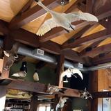 Dickinson County Nature Center