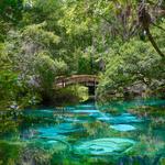 Juniper Springs Recreation Area
