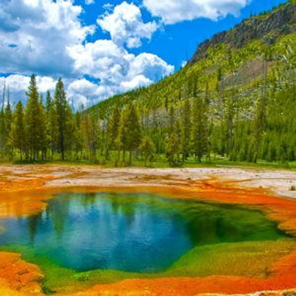 Honeymoon Fund for Yellowstone
