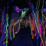 Meow Wolf Santa Fe | House of Eternal Return