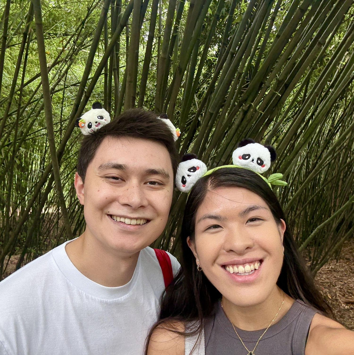 Visiting the pandas in Chengdu, China