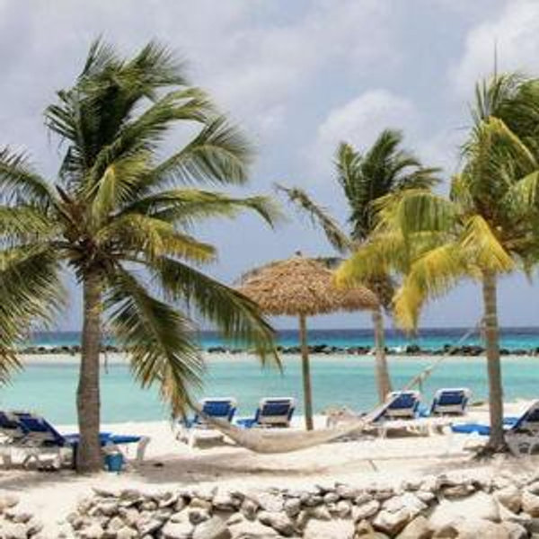 Honeymoon Help!
