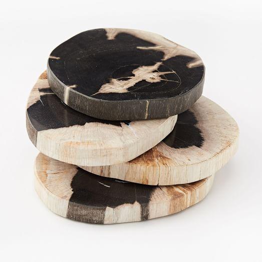 Petrified Wood Coasters, Set of 4, Black