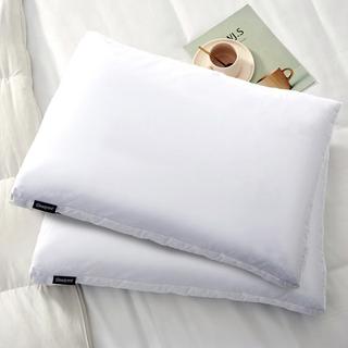 Gusset Feather and Down Pillow, Set of 2