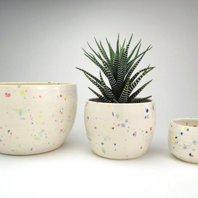 Confetti Cake Planter