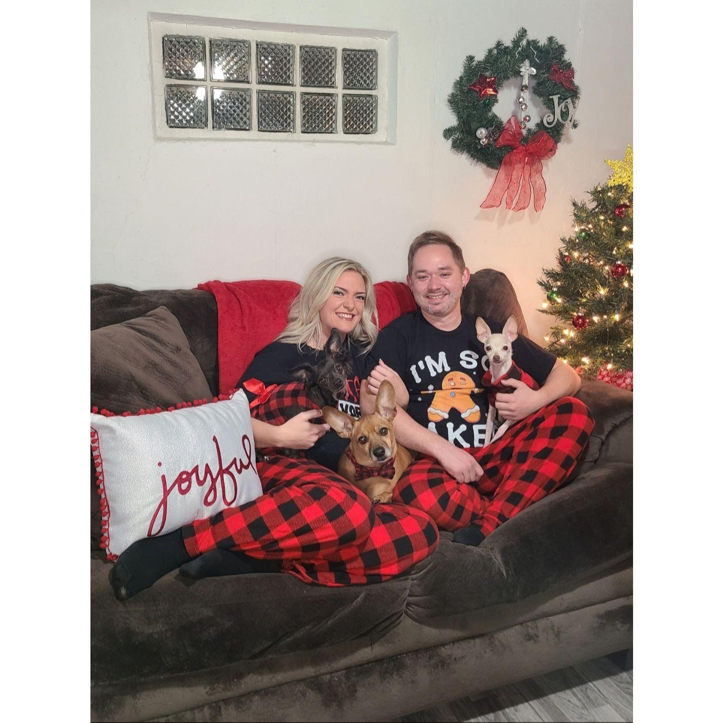 Our first Christmas living together as one big, furry, noisy, amazingly happy family! - December 2023