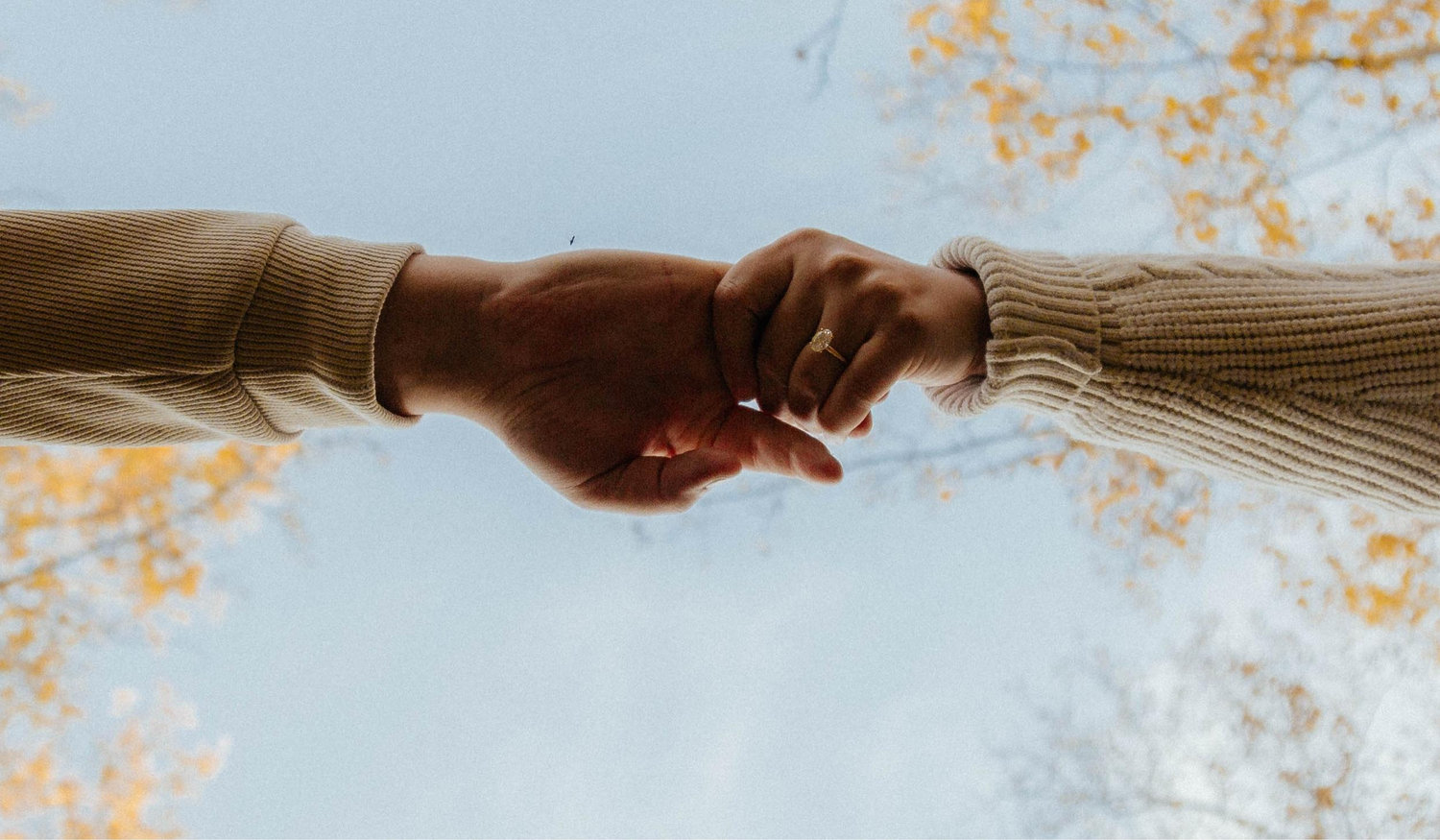 The Wedding Website of Avery Sharp and Clayton Pharis